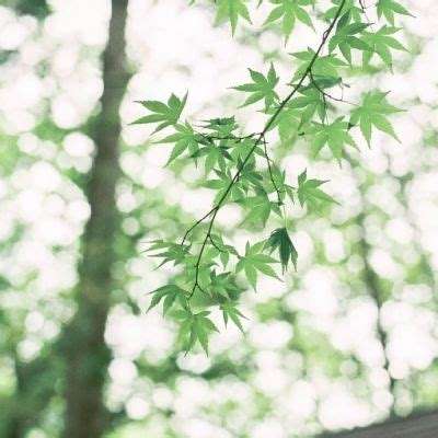 leyu乐鱼体育在线官网官方版