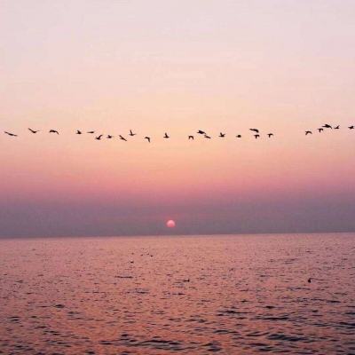 美第82空降师约3000人将赴中东